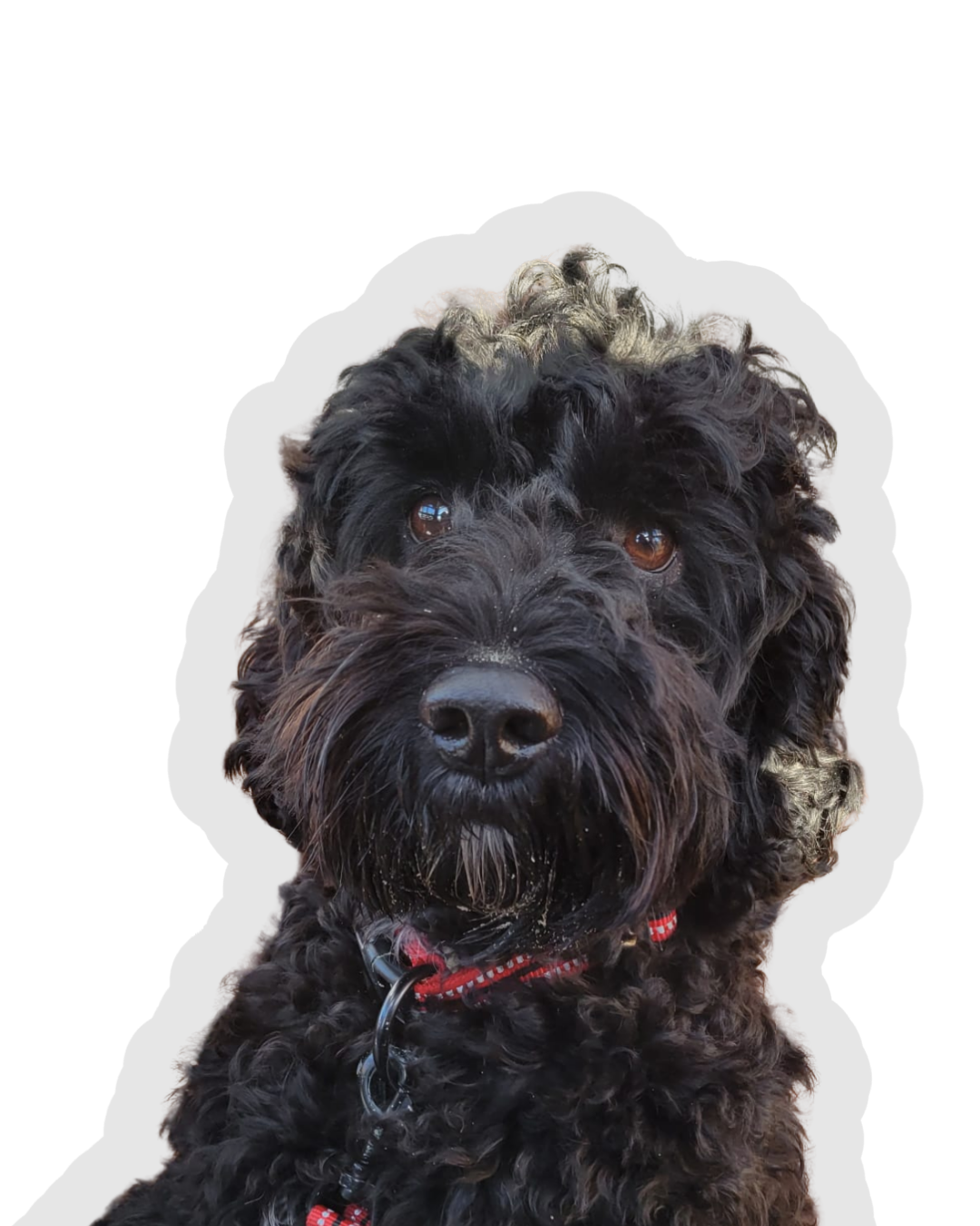 Ontwerp zonder titel 20