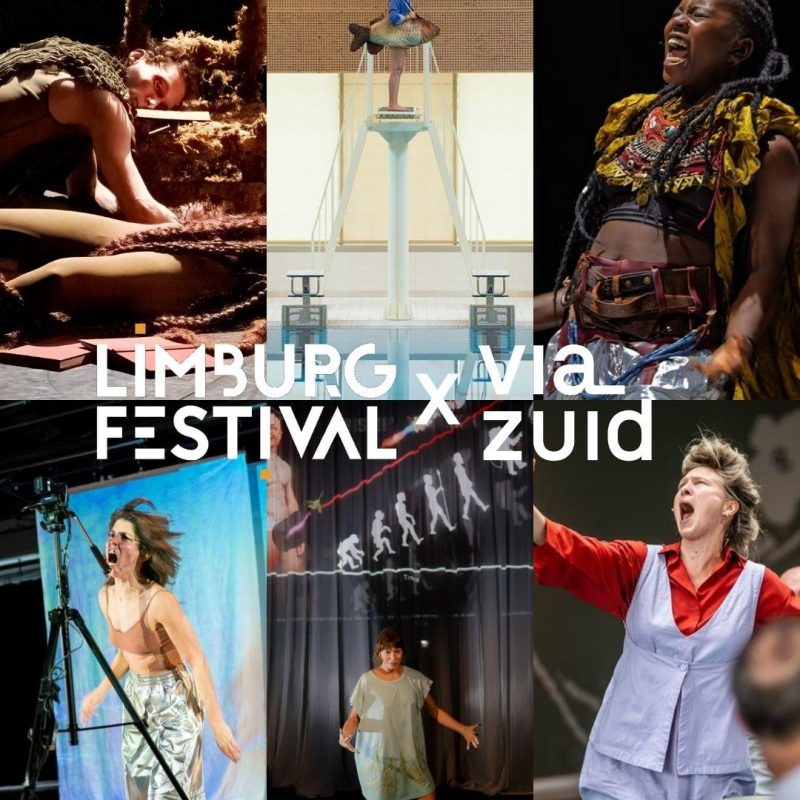 Limburg Festival x Via Zuid