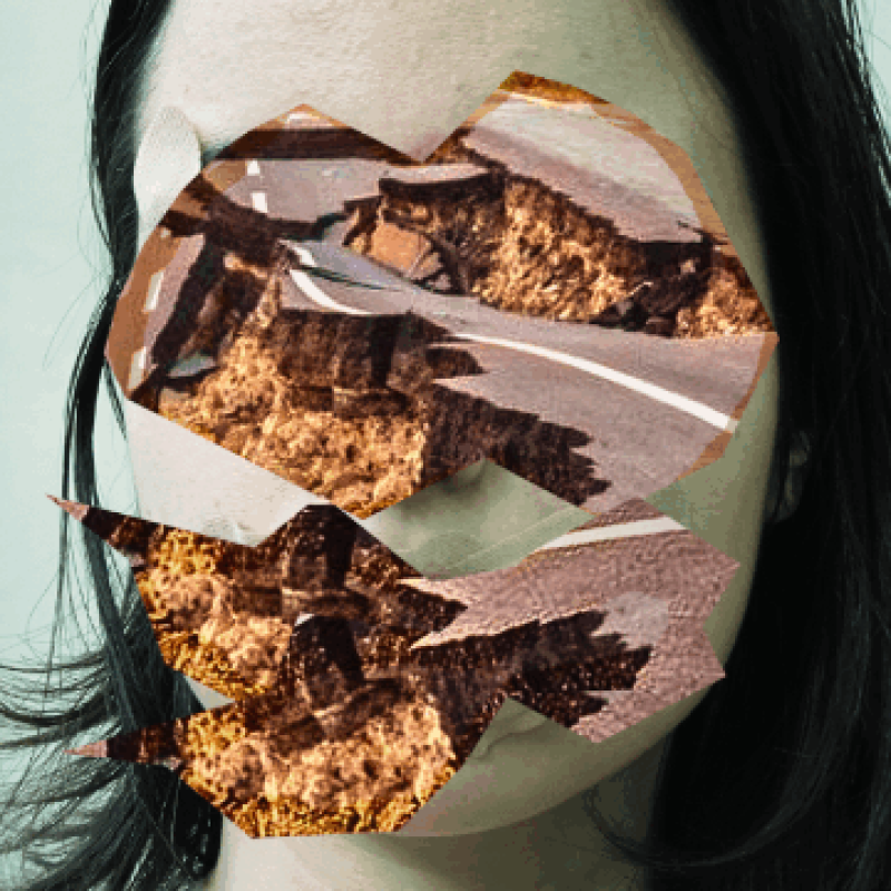 Birsu tamer s1920x1080 q80 v1