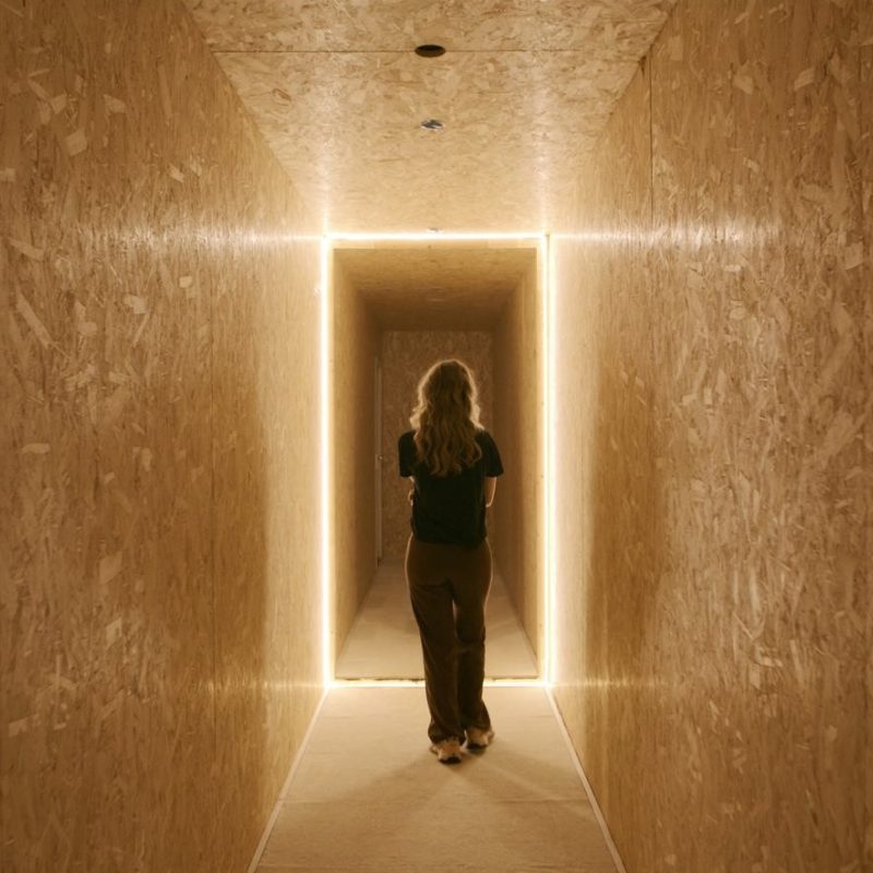 The Meeting option 2