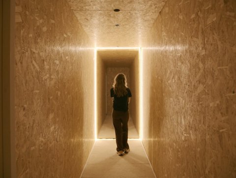 The Meeting option 2