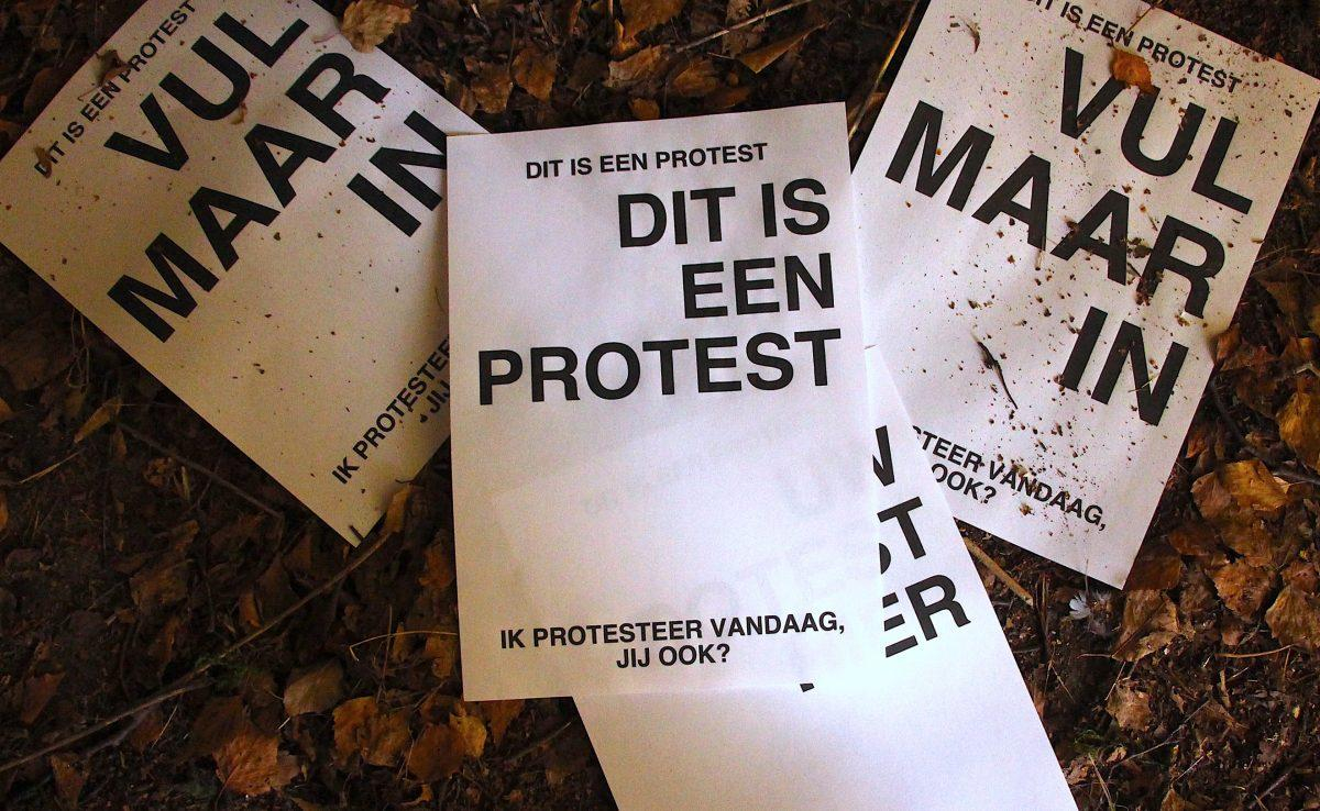 Afbeelding Jelle Stiphout