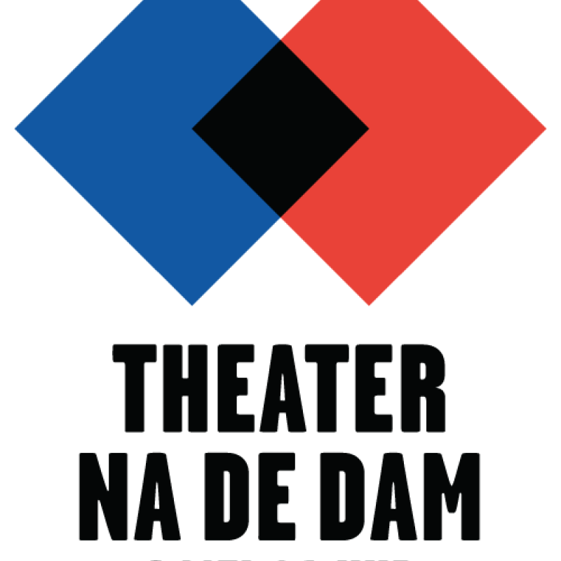 140217 TD theater na de dam beeldmerk onderschrift 2014 rgb 500px