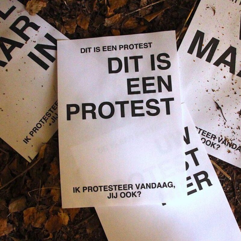 Afbeelding Jelle Stiphout