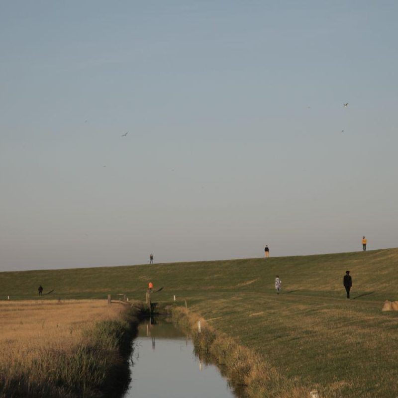 Cant Stop Motion Rita Hoofwijk Felix Schellekens