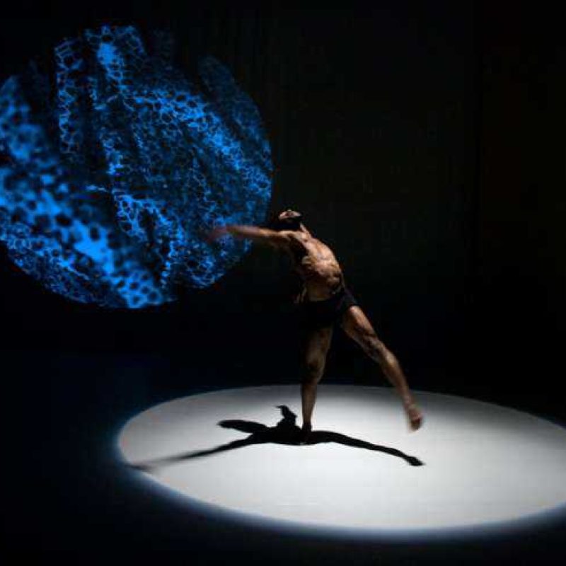 Marie van Vollenhoven Infinity