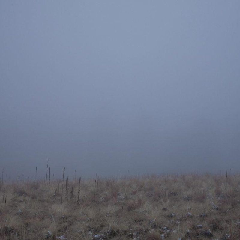 While waiting Vivian Keulards