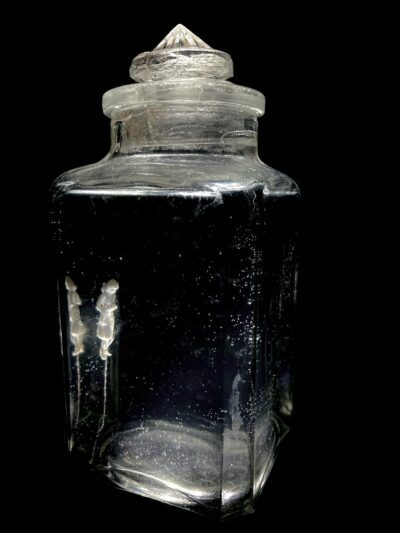 PR beeld DROWN MY FRIENDS 400x533