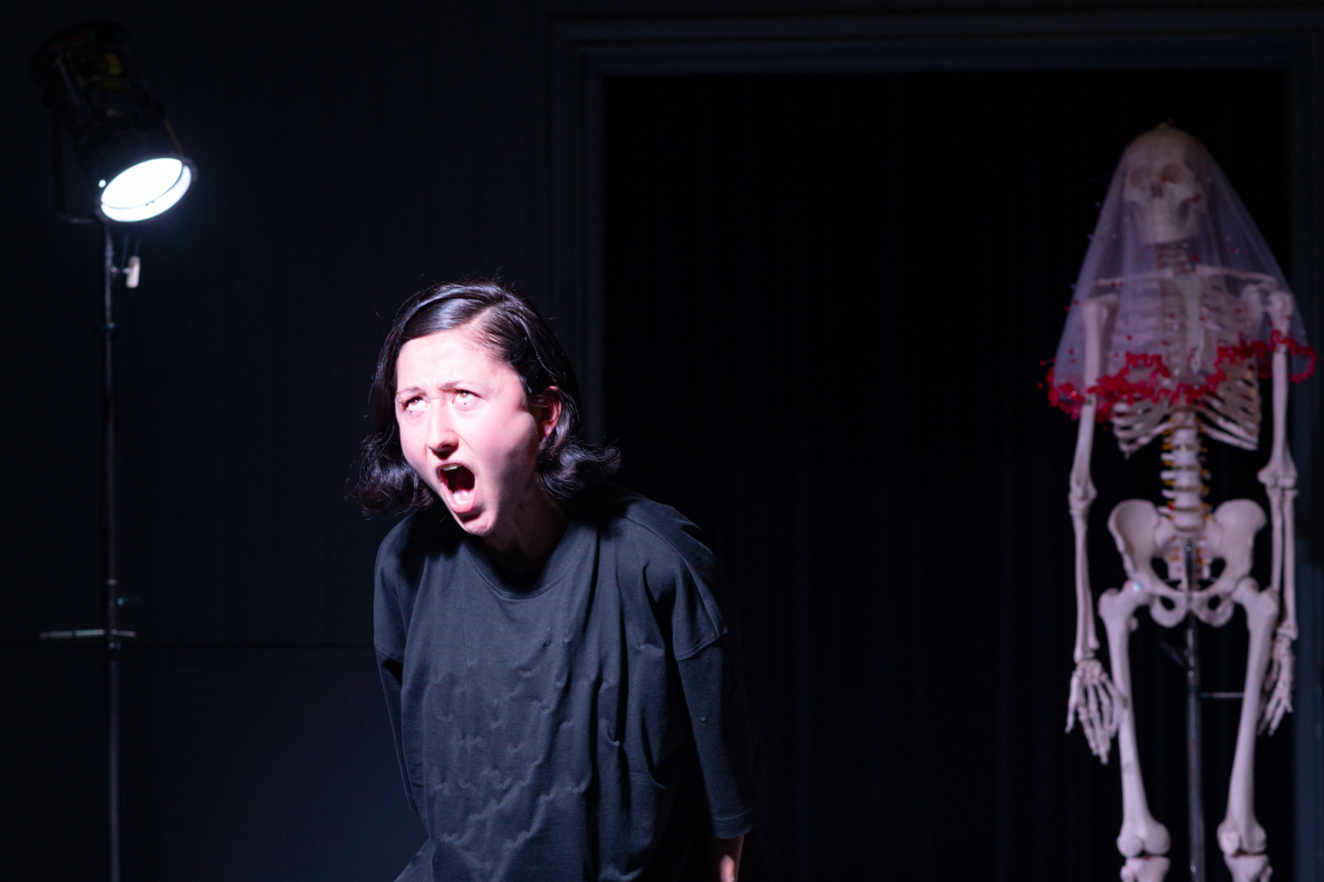 Fringe somaskeleton foto Annelies Verhelst 14 1