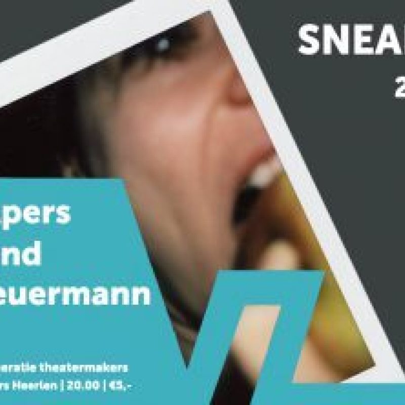 Banner Sneak Peek 2 Audrey Apers 400x222