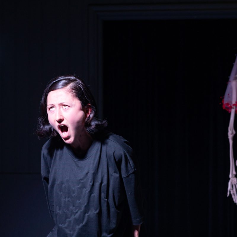 Fringe somaskeleton foto Annelies Verhelst 14 1